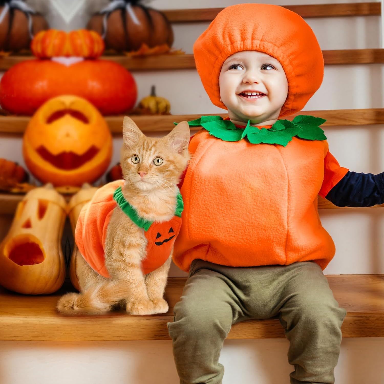 Funny Pumpkin Dog Halloween Costume Pet Dog Cat - Bellarte Enchanté Funny Pumpkin Dog Halloween Costume Pet Dog Cat